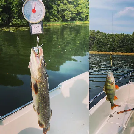 Nad Jeziorem Charzykowskim Emilia 아파트