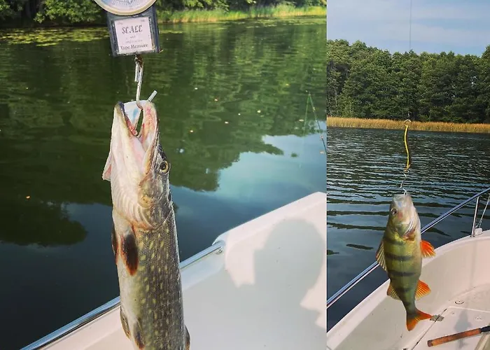 Nad Jeziorem Charzykowskim Emilia 公寓