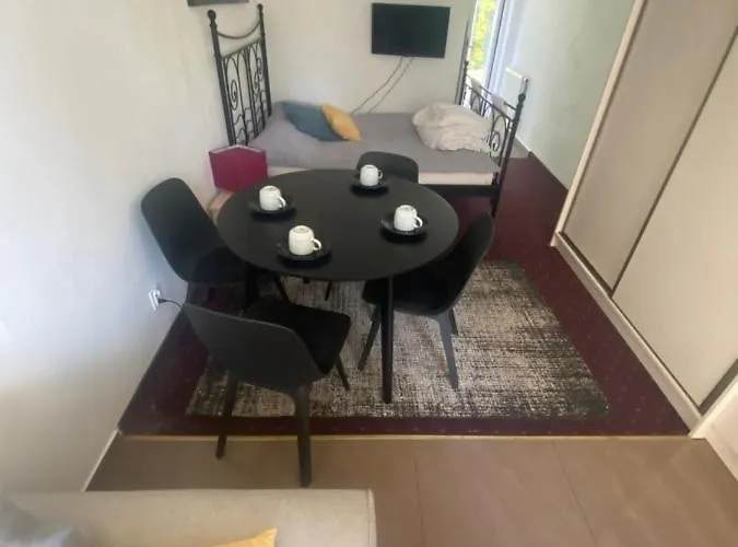 公寓 Nad Jeziorem Charzykowskim Emilia