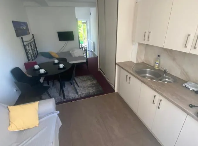 Nad Jeziorem Charzykowskim Emilia 公寓