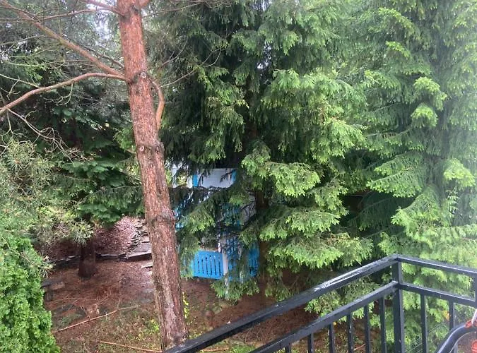 公寓 Nad Jeziorem Charzykowskim Emilia *