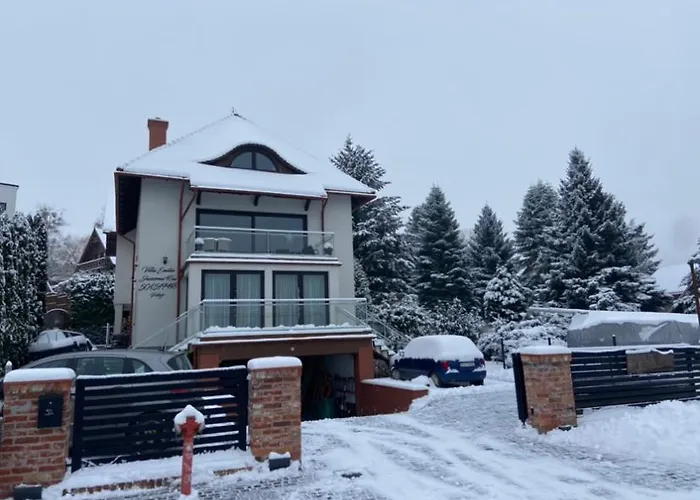 公寓 Nad Jeziorem Charzykowskim Emilia