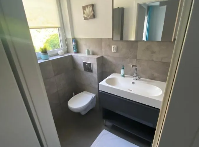 公寓 Nad Jeziorem Charzykowskim Emilia