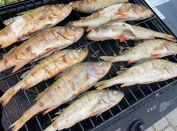 Nad Jeziorem Charzykowskim Emilia