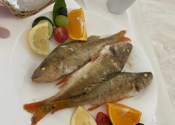 Nad Jeziorem Charzykowskim Emilia 哈日科维